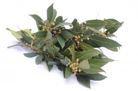 LAUREL